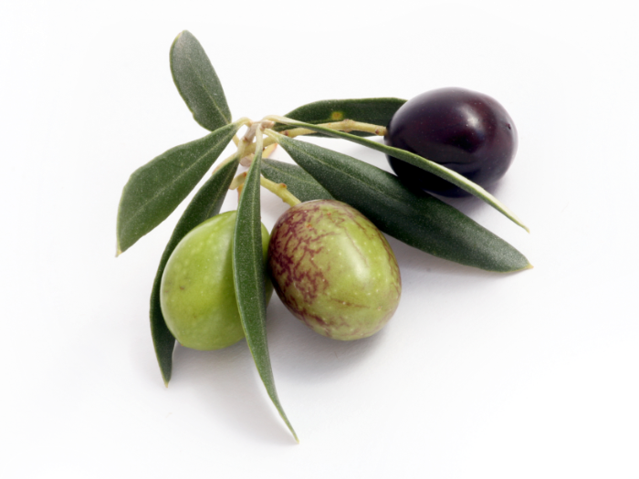 olive2