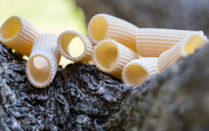 Pasta del Frantoiano